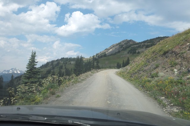 Harts Pass Road