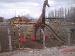 Zürafa Oyun Grubu (en:600 boy:600 yük :480 ağr:200)
