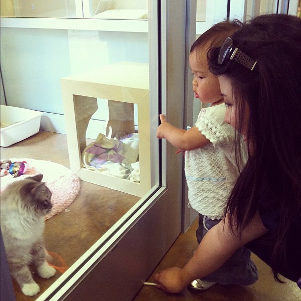 Mio and Megumi at the Tony La Russa Animal Rescue Foundation