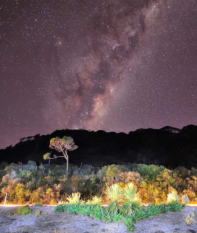 Milky Way alongside the Coast Road