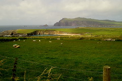 View from a coffee shop on the Slea-Head Drive