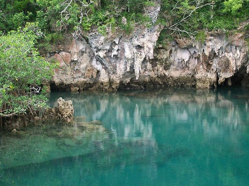 Insider's Guide to Bermuda: Tom Moore's Jungle
