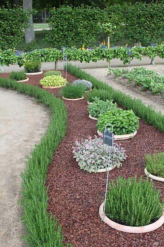 sunken-planter-buried-pot-garden