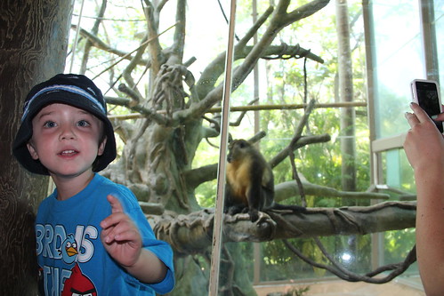 Olsen by the monkeys at the zoo