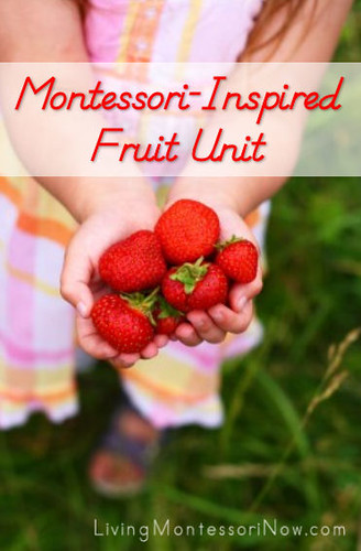 Montessori-Inspired Fruit Unit