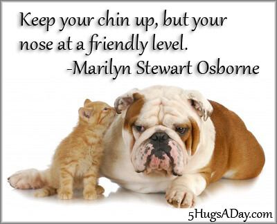 Keep Your Chin Up post image