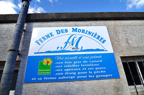 Ferme des Morinières - Loire Valley