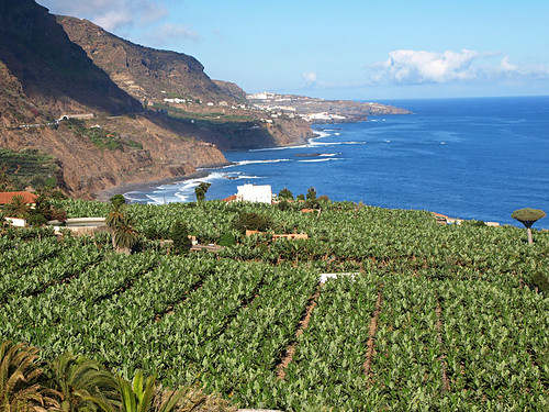 Tenerife's North West Coast