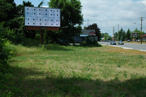 Albany Billboard Art Project 2012 - Julia Cocuzza (3)