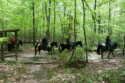 Horseback riders enjoy some of the equestrian trails offered at Douthat State Park.