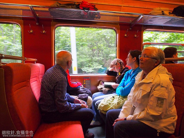 Norway in a Nutshell: train from Flåm to Myrdal