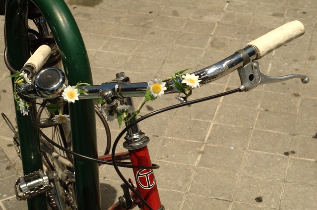 202/366: Blossom bicycle