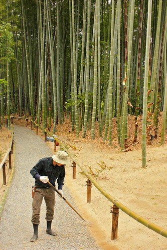 Kōdai-ji Bamboo Grove - Kyoto