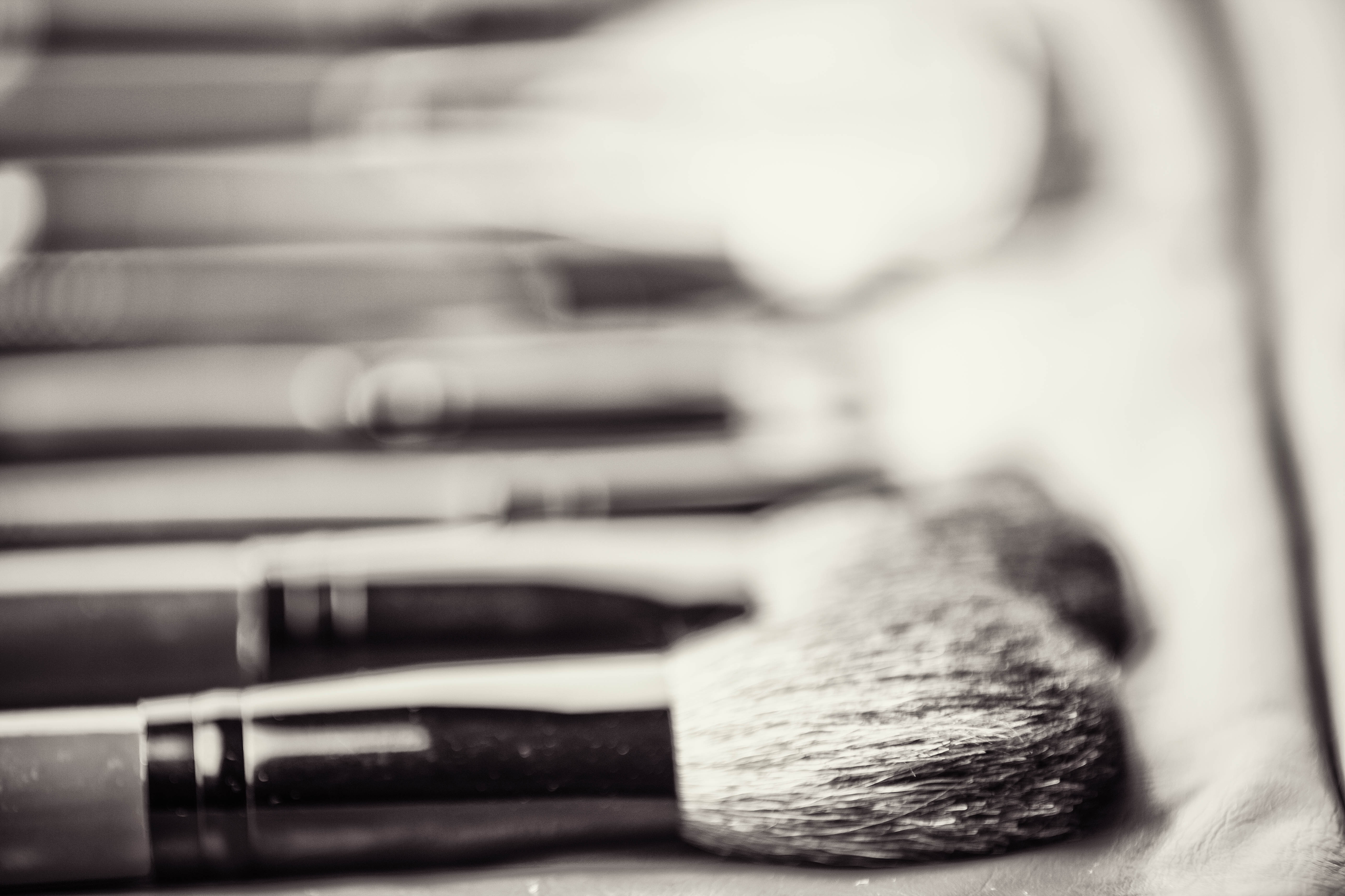 Day 207: Makeup Brushes
