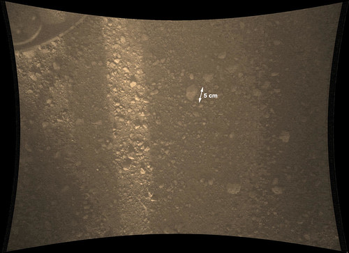 ground under Mars rover from mardi camera