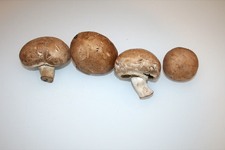 03 - Zutat Champignons / Ingredient mushrooms