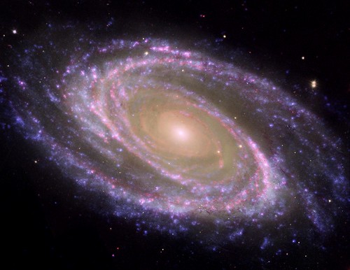 M81 Galaxy is Pretty in Pink