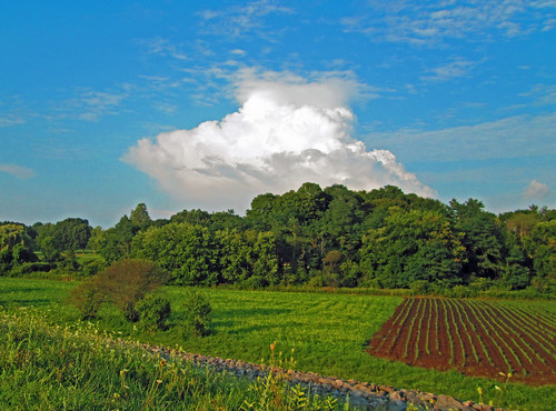 Crops and clouds by Barbara L. Slavin