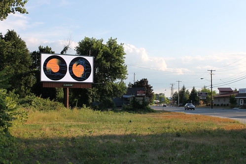 Albany Billboard Art Project 2012 - Julia Cocuzza (21)