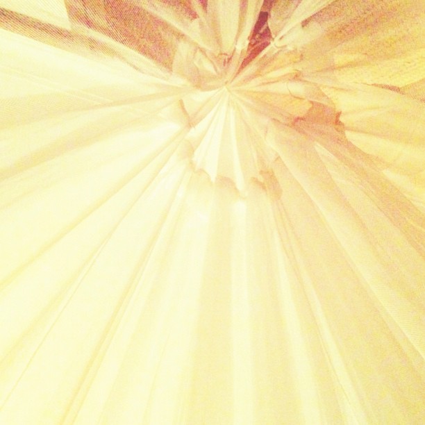 View from my pillow. #mosquitonet