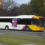 Torrens Transit Adelaide