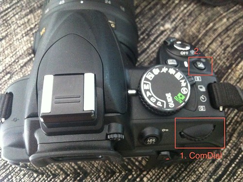 Nikon D3100 マニュアル操作 2012年07月29日 – 野暮天ワールドワイド・YABOTEN the Worldwide