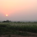 Driving through sugar cane fields in Burkina Faso - IMG_1074_CR2