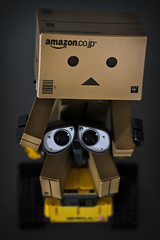 Danbo  on Danbo Will Not Be Alone Any More   4 4