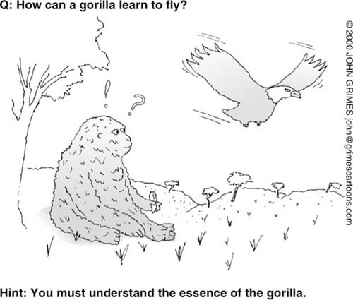 How can a gorilla learn to fly?
