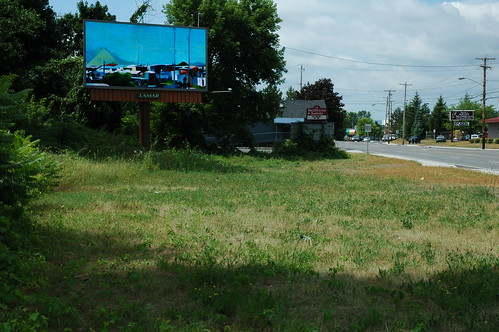 Albany Billboard Art Project 2012 - Julia Cocuzza (8)