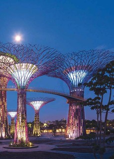 Gardens by the Bay, Singapore (courtesy of KPMG, Infrastructure 100)