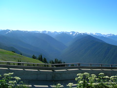 Olympic Mountain Range
