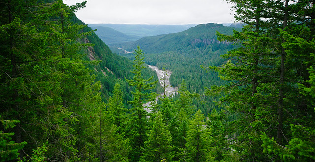 Nisqually River
Valley