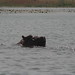 Hippo Lake near Banfora, Burkina Faso - IMG_1098_CR2