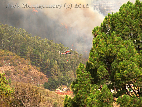 Fighting the forest fires in El Tanque, Tenerife