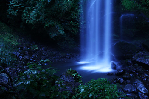 無料写真素材|自然風景|森林|滝|風景日本