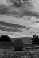 Avesbury stone circles 2012