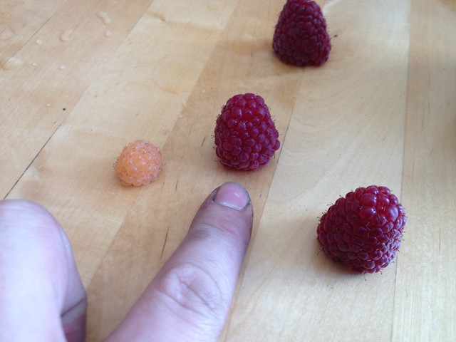 Big Rasberries