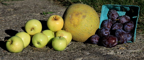 Week Eleven Fruit