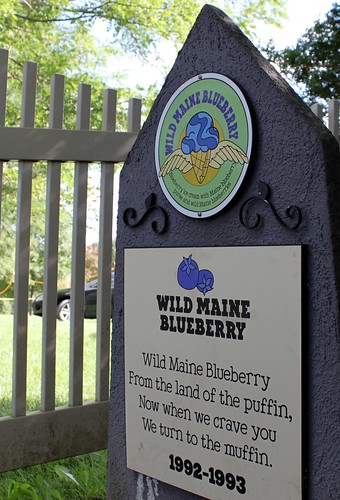 Wild Maine Blueberry