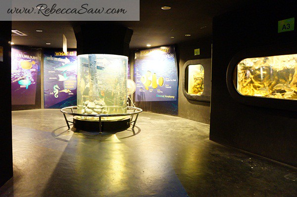 Singora Tram Tour - songkhla aquarium thailand-001
