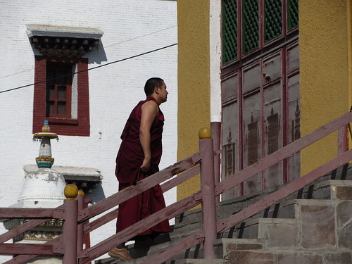 monk heads to school