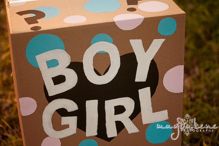 baby gender reveal session ballons wisconsin photographer