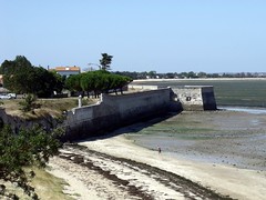 Sea walls