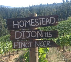 oregon wine country