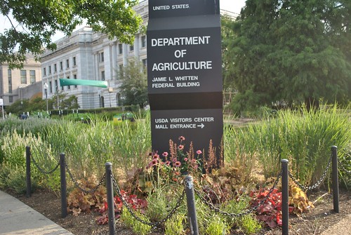 The landscape outside USDA Headquarters has been redesigned with a focus on sustainable landscape practices. The removal of invasive plants and inclusion of a wide variety of native species has created a more beautiful and environmentally friendly space.