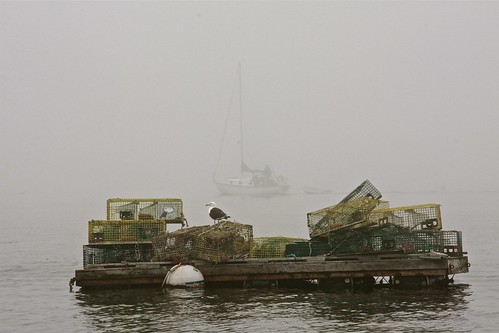Sailing Through Thick Fog 06