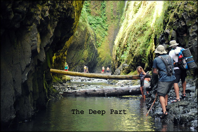 "The Deep Part" just before the waterfall at Oneonta Gorge
