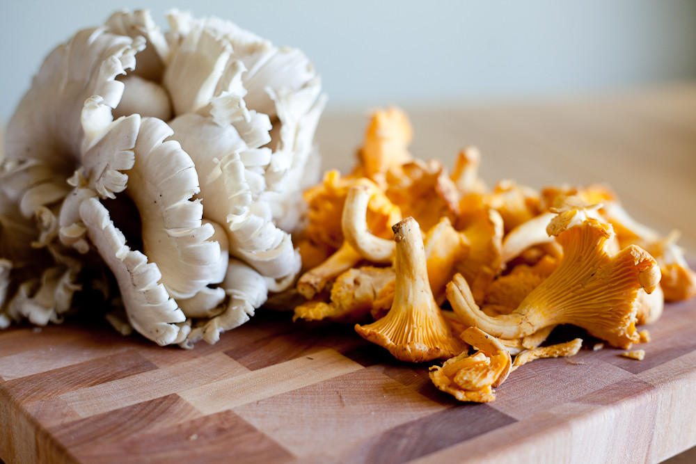 Oyster and Chanterelle Mushrooms