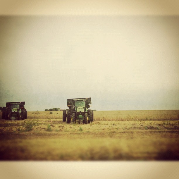 In the Fields #squaready #snapseed #johndeere #tractor #harvest #perfectfallday
